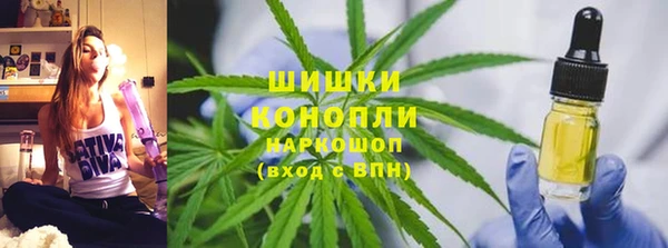 прущие грибы Остров
