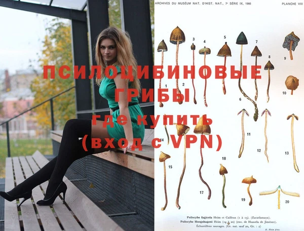прущие грибы Остров