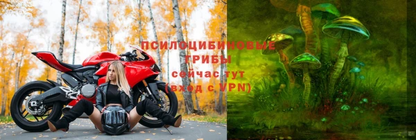 прущие грибы Остров