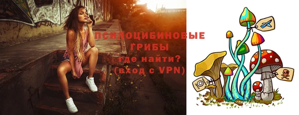 мяу мяу мука Осинники