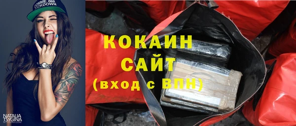 шишки Ханты-Мансийск