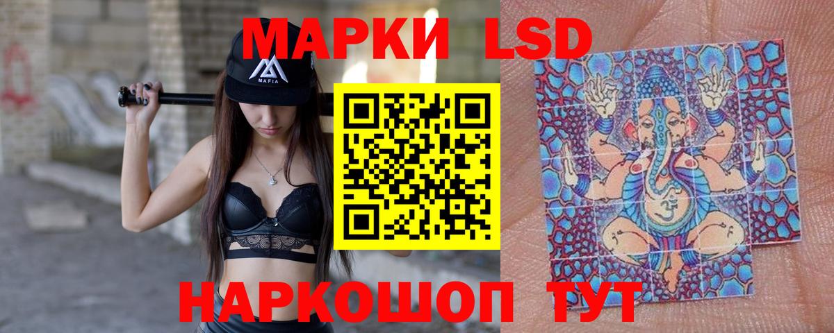 МЕФ Волгоград