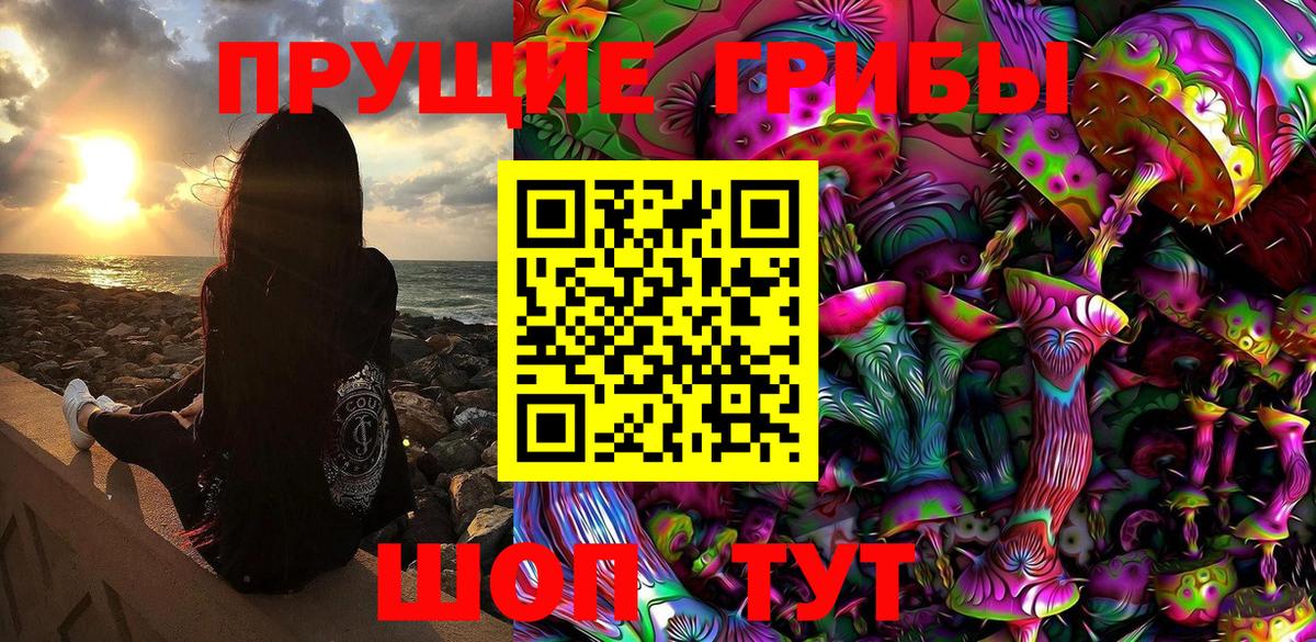 Волгоград  Галлюциногенные грибы Psilocybe  цены наркотик  Вход с VPN 