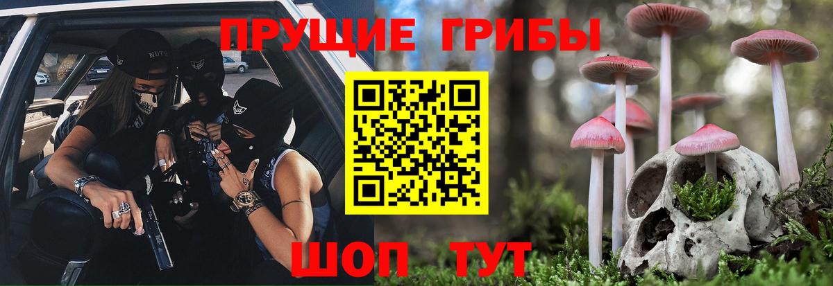 Псилоцибиновые грибы Psilocybine cubensis  Галлюциногенные грибы ЛСД  Волгоград 